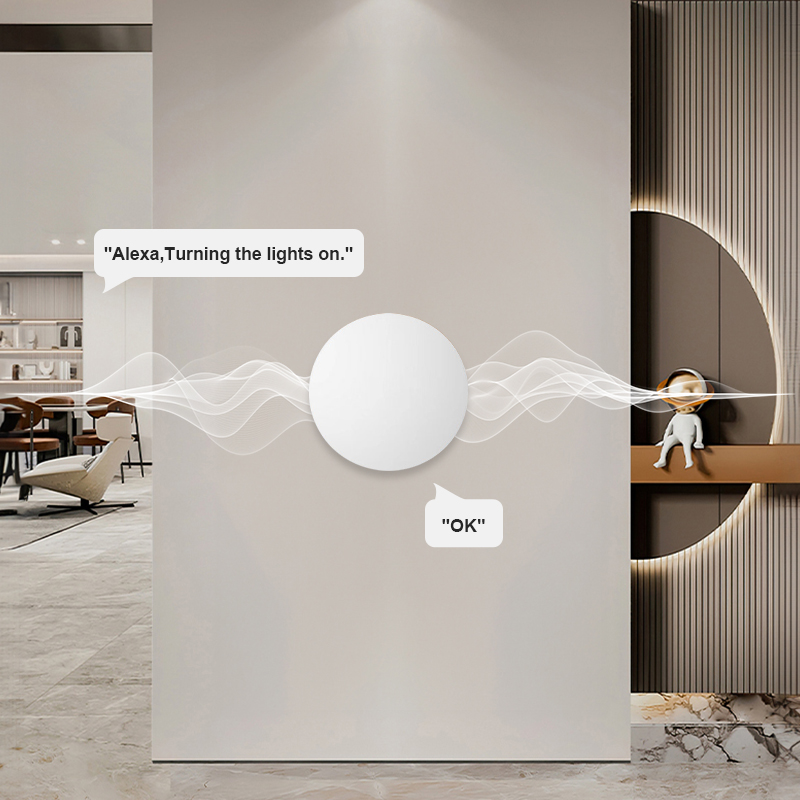 Tuya Zigbee Smart Push Button  – Smart Home Zentrale Bewertung und Preis