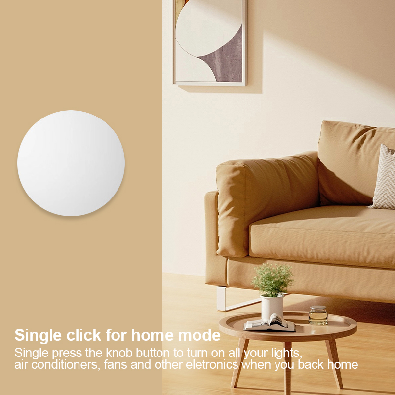 Tuya Zigbee Smart Push Button  – Smart Home Zentrale Bewertung und Preis