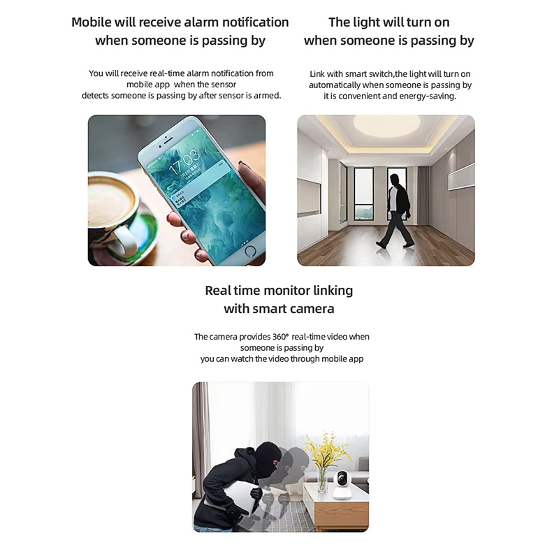 Intelligenter PIR-Bewegungssen – Smart Home Integration Bewertung und Preis
